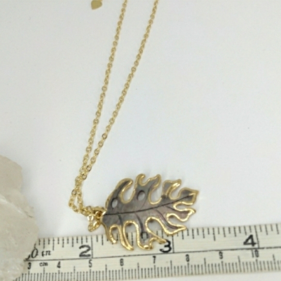 Natural carved Shell fall leaf necklace - Picture 3 of 4